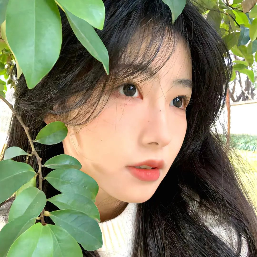 复仇吧