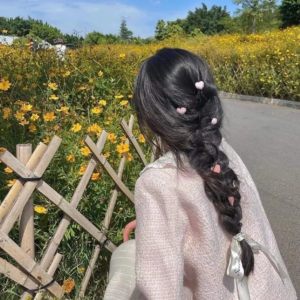 驯龙宝典