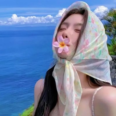 完美计划